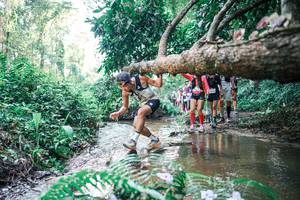 BIB: 
                            <button type="button" onclick="openModal(25465250)" class="btn btn-primary btn-sm float-right btn-popup" data-toggle="modal" data-target=".modal-high-quality">
                        <i class="fas fa-shopping-cart"></i> Add to Cart
                    </button>
                                            <button type="button" onclick="isThisMe(25465250, true)" class="btn btn-success btn-sm float-right btn-popup btn-isme hidden" data-toggle="tooltip" data-placement="bottom" title="นี่คือรูปของคุณใช่ไหม คลิกที่นี่เพื่อเอาเข้าอัลบั้ม">
                        <i class="fas fa-plus"></i> Add to album
                    </button>
                    <button type="button" onclick="isThisMe(25465250, false)" class="btn btn-warning btn-sm float-right btn-popup btn-isnotme hidden">
                        <i class="fas fa-ban"></i> Remove from album
                    </button>